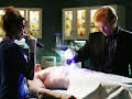 CSI: Miami