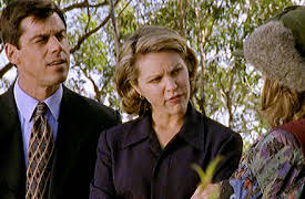 Murder Call: Fall from Grace