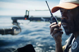 The Wild Ones: Whales