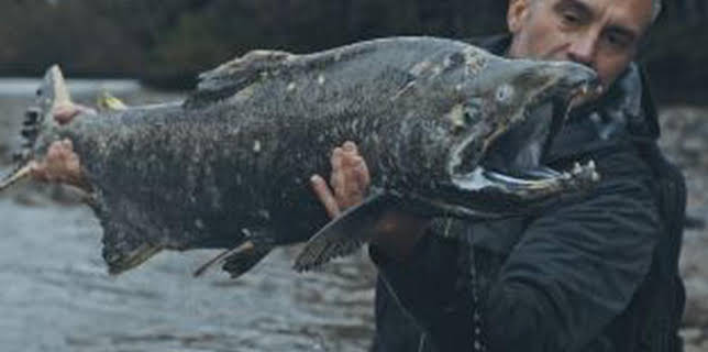 22:10: Los últimos gigantes (T3): Ep.6 | Caza y Pesca | 4/14 2024