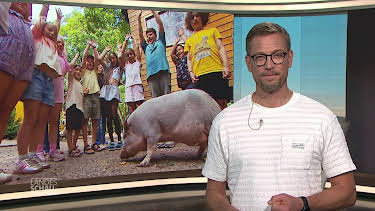 09:00: Landesschau Baden-Württemberg | SWR Fernsehen BW | 8/21 2026