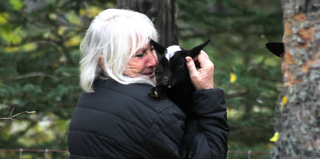 20:00: Homestead Rescue: Raney Ranch (S1 E6) (S1) | Discovery Channel | 11/9 2025