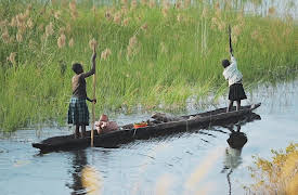 A World of Calm, Season 1: Water, Giver of Life - Narrated by Mahershala Ali