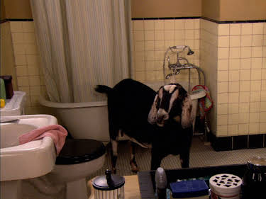 12:50: How I Met Your Mother | ProSieben | 6/2 2026