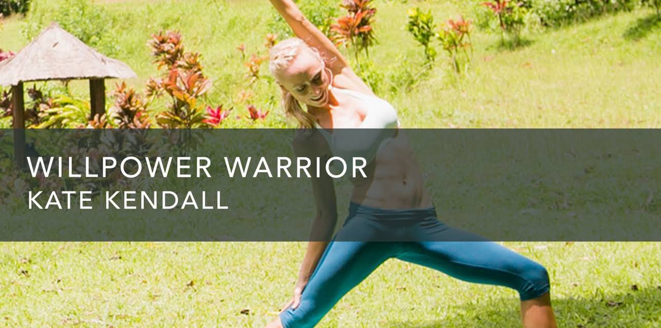 Willpower Warrior (1990)