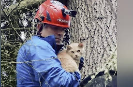 Treetop Cat Rescue, Season 1: Cat Men to the Rescue