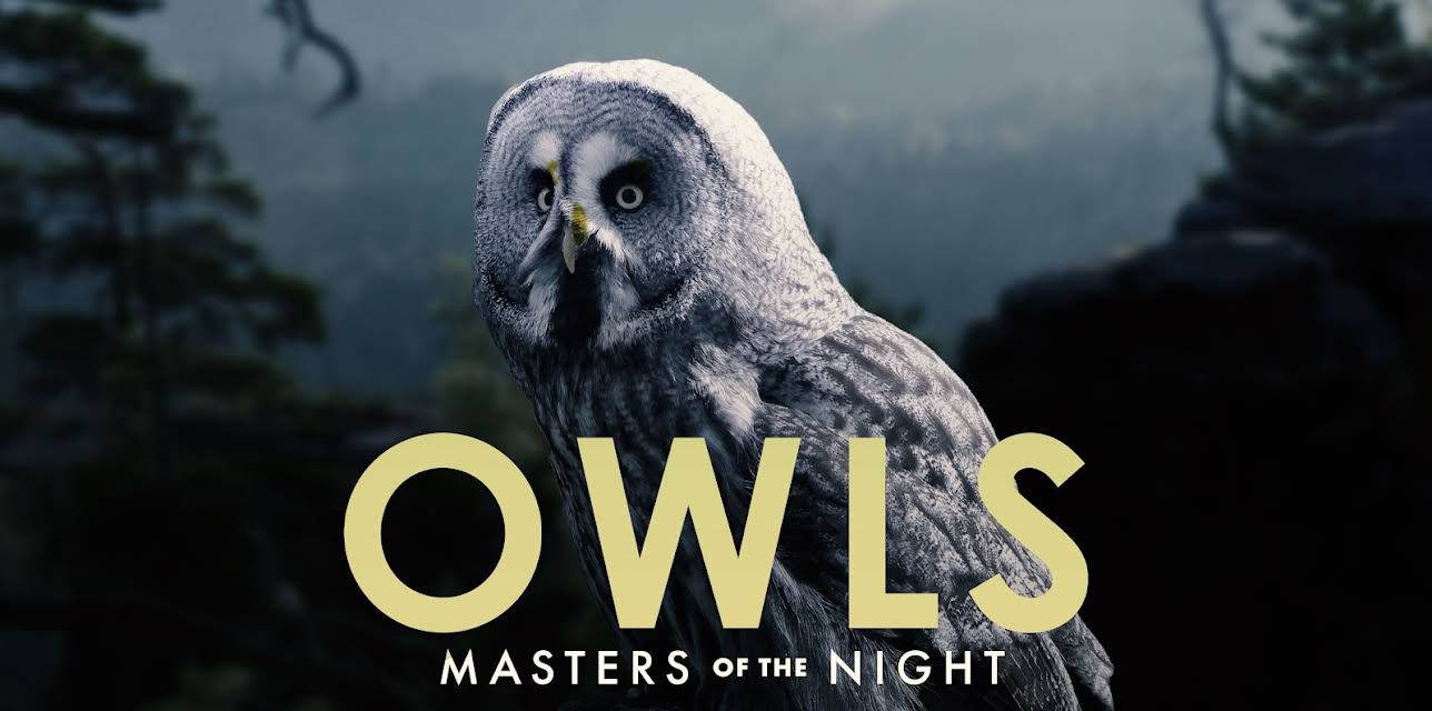 Owls: Masters of the Night (2020)