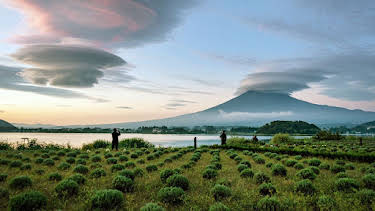 07:05: Wundersame Wolken | Arte | 3/28 2026