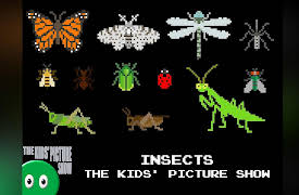 The Kids' Picture Show: Insects - The Kids' Picture Show