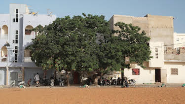 07:20: Stadt Land Kunst | Arte | 10/14 2025