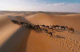 World of the Wild: Deserts