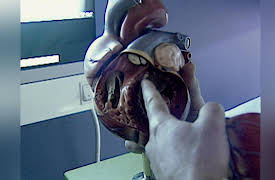 City Medical: Dallas: Cause & Effect