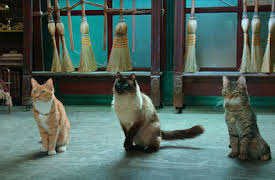 Katthjältarna: Kattvakterna