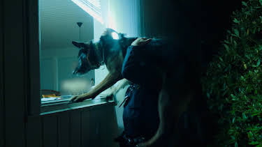 12:55: Polishundarna Norge (S1 E1) (S1) | Kanal 9 | 5/8 2026