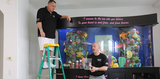 09:25: Akvariedesignerne (S8 E1) (S8) | Animal Planet | 11/26 2025