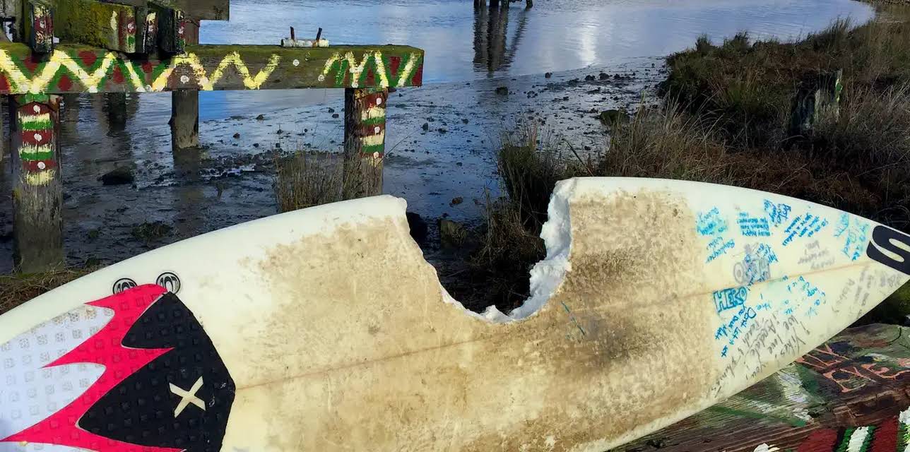 Wrath of a Great White Serial Killer