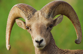 America's National Parks: Episode 3