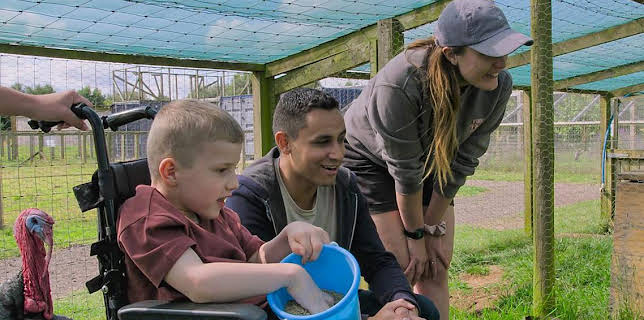 9:45 AM: Something Special (S14) | Cbeebies | 12/9 2025