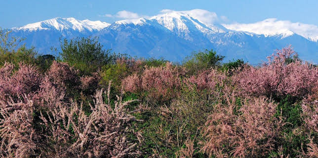 17:50: Wildes Griechenland (1/2) | Arte | 1/27 2026