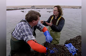 Beyond River Cottage: Episode 2