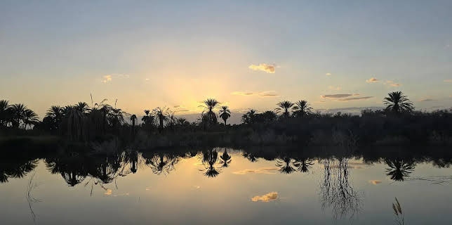 20:15: Länder - Menschen - Abenteuer | NDR Fernsehen | 2/26 2026