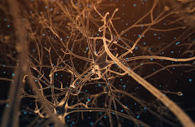 Science of Drugs With Richard Roxburgh: Legal And Lethal