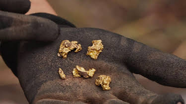 07:00: Guldjägarna i Australien (S8 E4) (S8) | TV10 | 4/6 2026