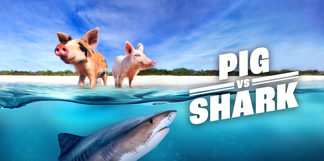 Pig vs Shark (2022)