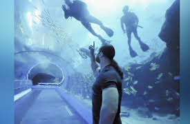 Shark Rumble: Shark Rumble