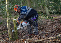 Sandi's Great British Woodland...