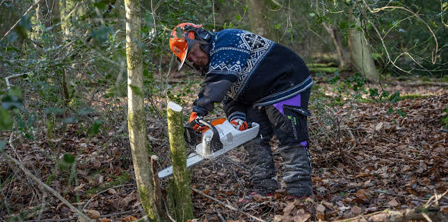 4:25 PM: Sandi's Great British Woodland... | Channel 4 | 2/8 2026