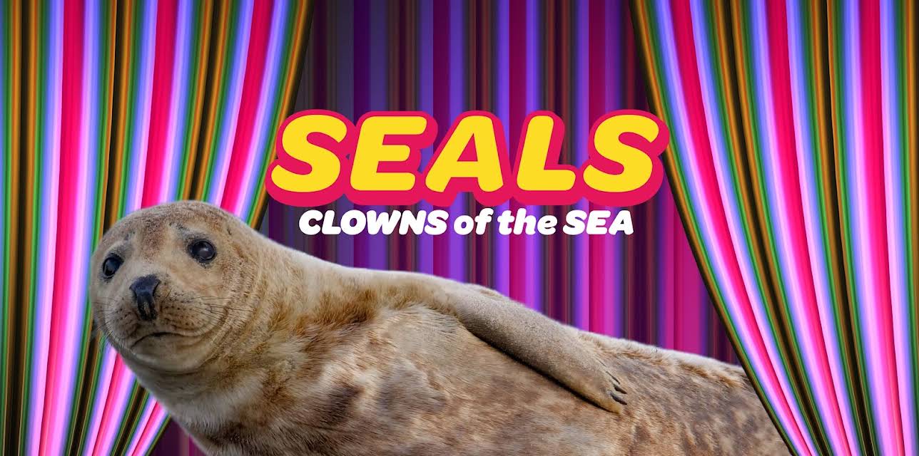 Seals Clowns of the Sea (2022)