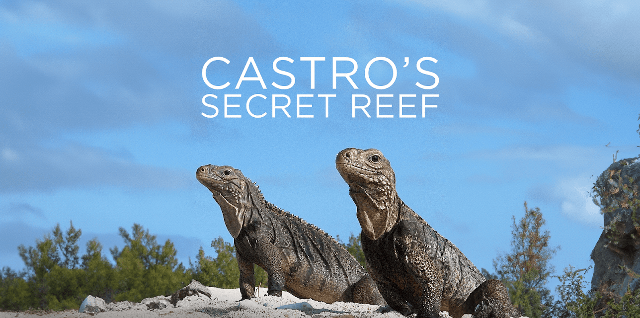 Castro's Secret Reef (2017)