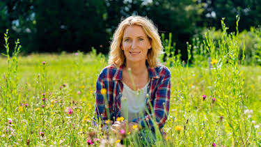 23:55: Das Ende der Insekten? | RBB Fernsehen | 4/14 2026