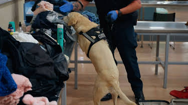 10:50: Border Patrol New Zealand | ProSieben Maxx | 4/27 2026