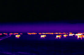 Night Season 1: Migration