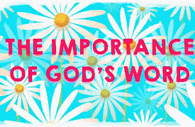 Night Owls & Early Birds: Season 1: Seed - Gods Word Helps Us Grow