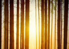 Historias Malditas: Episodio 5