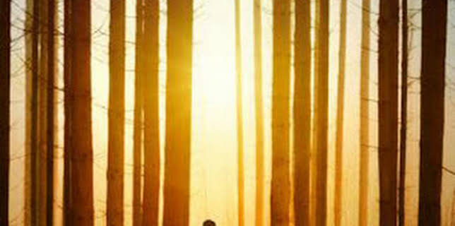 00:24: Historias Malditas: Episodio 3 | Discovery Max | 12/9 2025