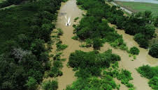 Giganten unter Wasser - Riesenfischen auf der Spur