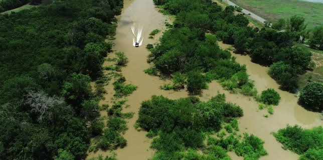 14:10: Giganten unter Wasser - Riesenfischen auf der Spur | Kabel Eins Doku | 2/13 2026
