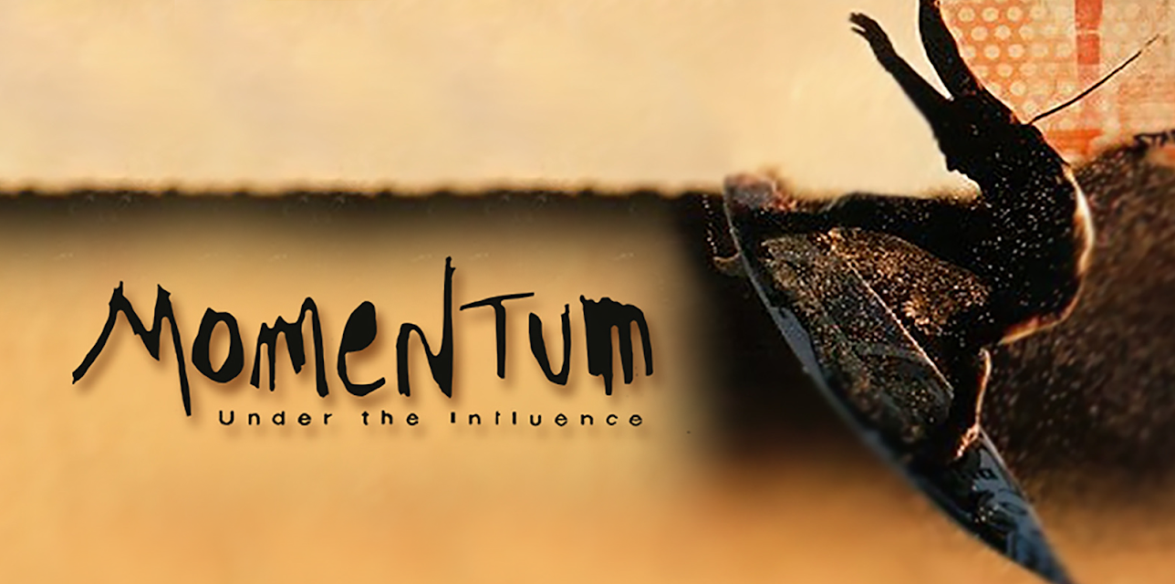 Momentum: Under the Influence (2001)
