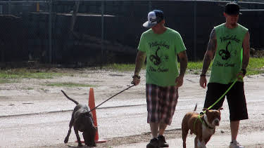 15:00: Pit Bulls & Parolees (S9 E8) (S9) | Animal Planet | 3/27 2026