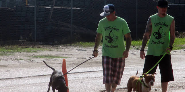 06:50: Pit Bulls & Parolees (S9 E8) (S9) | Animal Planet | 11/15 2025
