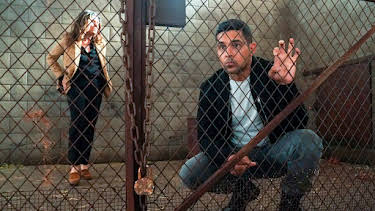 8:00 PM: NCIS (S20 E3) (S20) | 5 USA | 12/23 2025