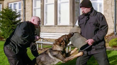 3:00 PM: Police Interceptors (S9 E11) (S9) | 5 Star | 3/31 2026