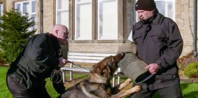 7:00 PM: Police Interceptors (S9 E11) (S9) | Paramount | 1/26 2026