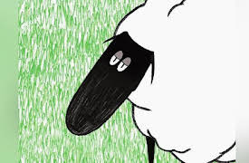 The Treehouse Stories: Miguel, the ill-fortuned sheep