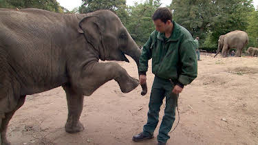 17:10: Leopard, Seebär & Co. | NDR Fernsehen | 9/14 2026