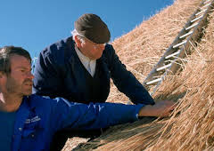 Fred Dibnah's Magnificent Monuments